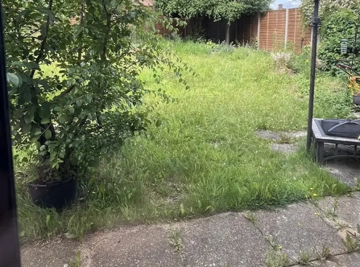 London Company Garden